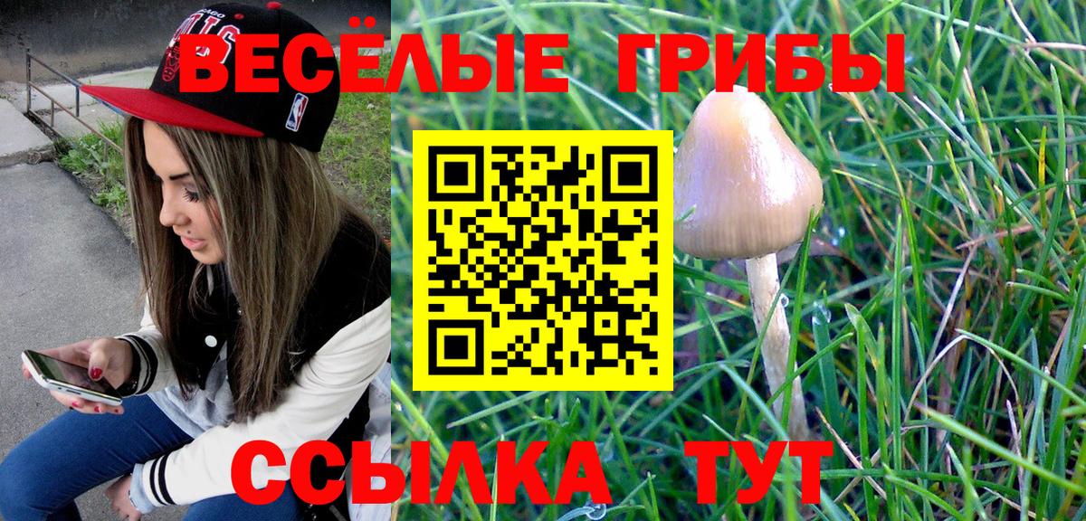 наркота  Вход с VPN  Тара  Псилоцибиновые грибы ЛСД 